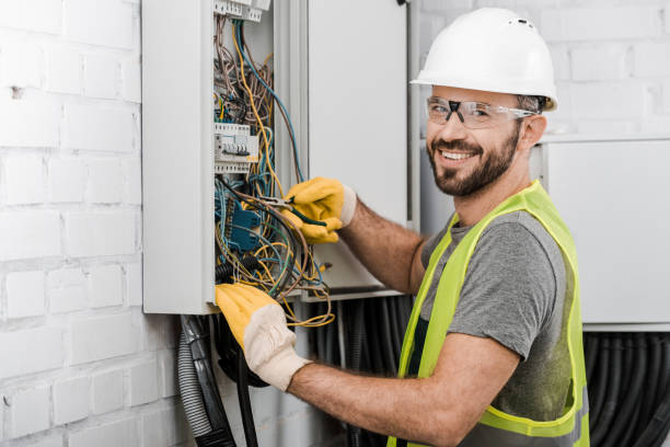 Best Electrical Repair Services  in Croswell, MI