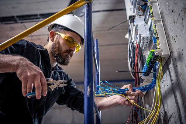 Best Electrical System Inspection  in Croswell, MI