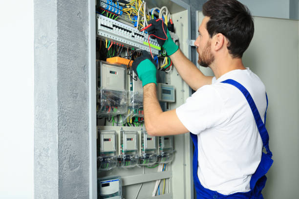 Best Electrical Upgrades for Homes  in Croswell, MI